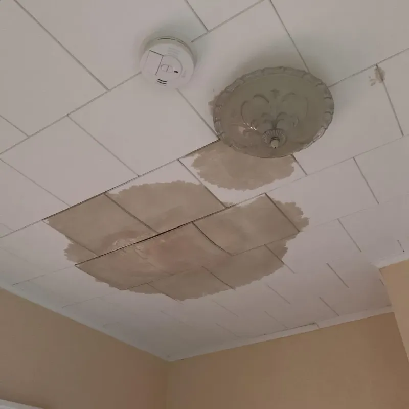 Ceiling Water Damage Repair in Findlay, OH