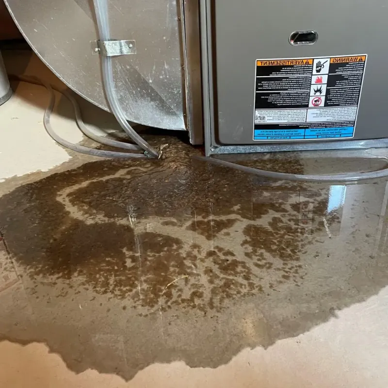 Pipe Burst and Leak Restoration in Findlay, OH