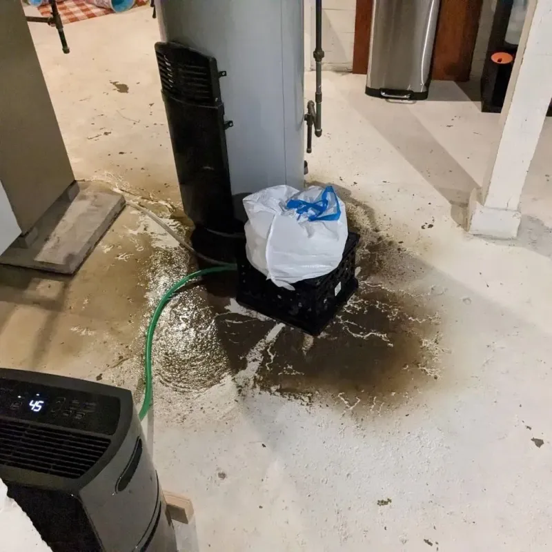 Sewage Backup Cleanup Service in Findlay, OH